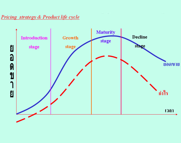 วงจรชีวิตผลิตภัณฑ์ (Product Life Cycle:Plc) | Jiradabbc